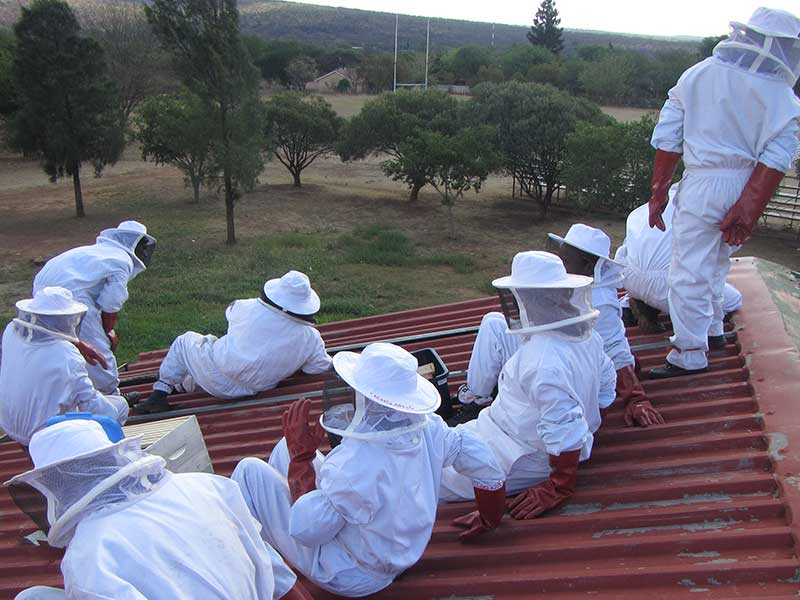 Marico Bee Keepers