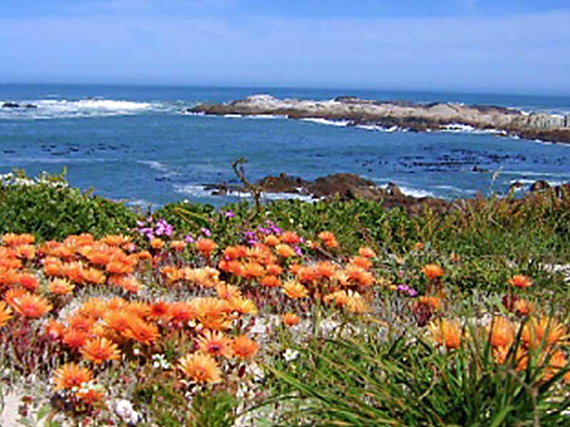 Cape West Coast Biosphere Reserve