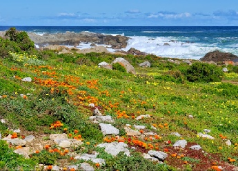 Cape West Coast Biosphere Reserve Cape West Coast Biosphere Reserve