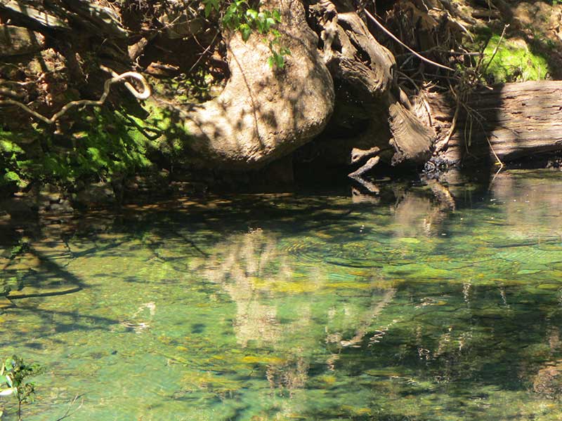 clear-water_3 Clear river water