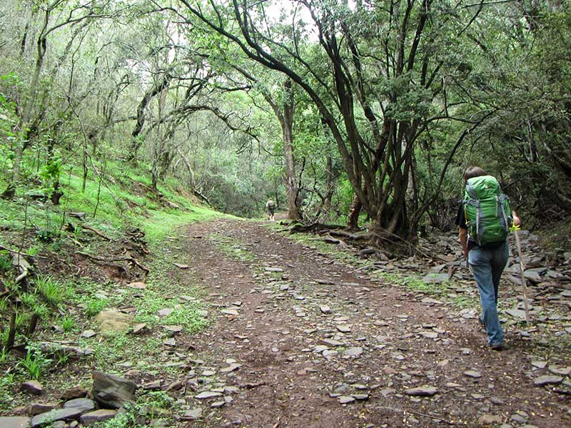 Hiking Langkloof