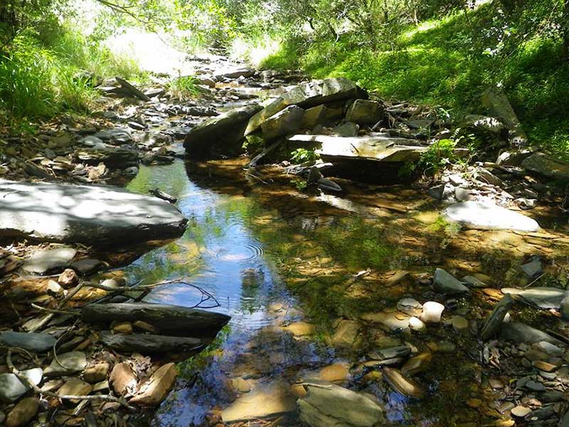Marico River Conservation Marico River Conservation