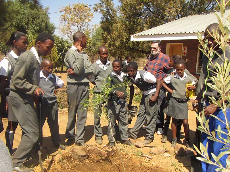 Tree planting
