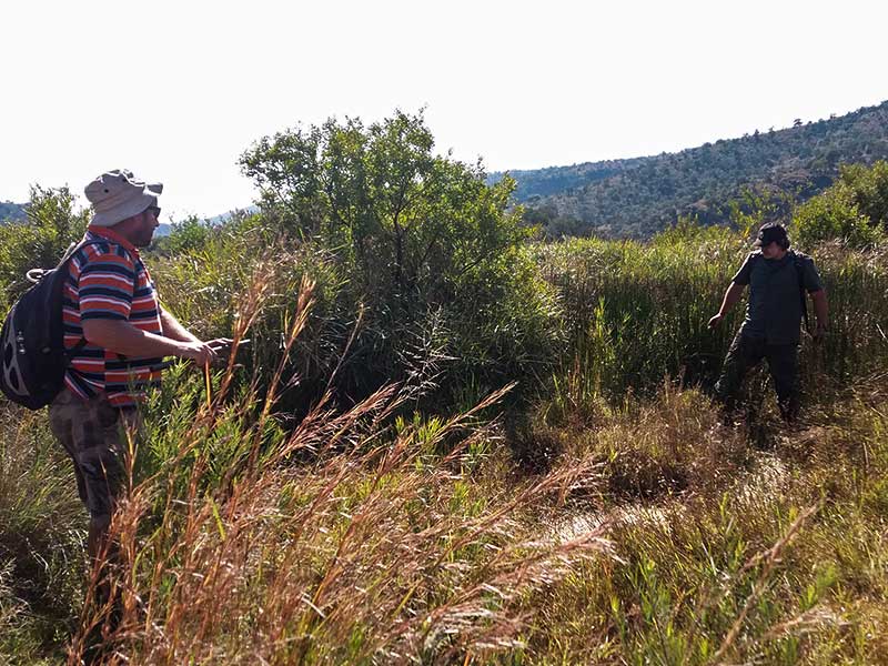 Wetland specialists Wetland specialists