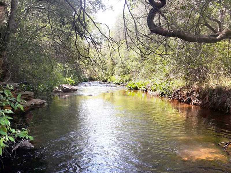 Groot Marico River